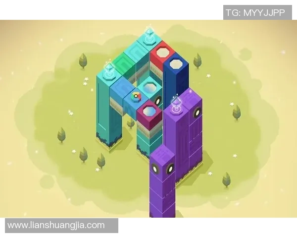 高维选手的奇幻旅程：探索来自高维度的参赛者的奥秘与挑战